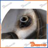 Filtres à Particules Diesel EURO6 pour NISSAN | DPF-PL-013, 8LG366071-381